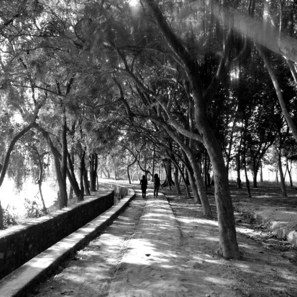 Lakeside Walk